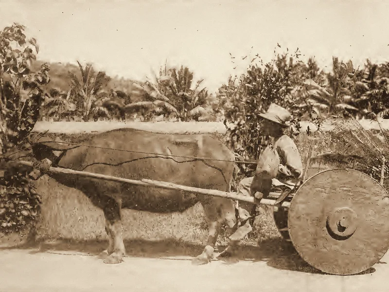 A carabao cart with a solid wooden wheel on Guam, published 1917. Public domain.