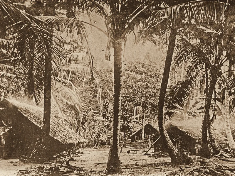 Houses among coconut palms in a village in Vanuatu (New Hebrides), 1901. Public domain.